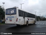Primatur - Primavera Transportes 660 na cidade de Santa Cruz do Sul, Rio Grande do Sul, Brasil, por Rudinei Francisco Mantovani. Número da foto: #7406295.