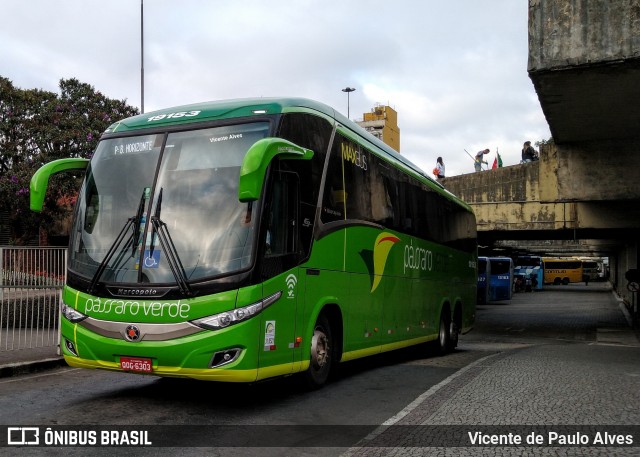 Pássaro Verde 19153 na cidade de Belo Horizonte, Minas Gerais, Brasil, por Vicente de Paulo Alves. ID da foto: 7409152.