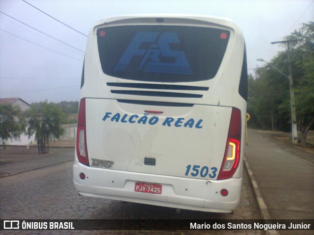 Falcão Real 1503 na cidade de Piritiba, Bahia, Brasil, por Mario dos Santos Nogueira Junior. Número da foto: #8242332.