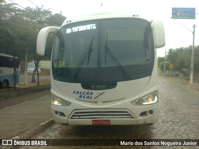 Falcão Real 1503 na cidade de Piritiba, Bahia, Brasil, por Mario dos Santos Nogueira Junior. Número da foto: #8242330.