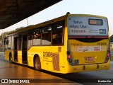Viação Pioneira 223808 na cidade de Park Way, Distrito Federal, Brasil, por Everton Lira. Número da foto: #:id.