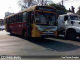 Lince 22 na cidade de San Lorenzo, Central, Paraguai, por Raul Fontan Douglas. Número da foto: #:id.