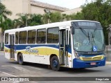 Rosa Turismo 45102 na cidade de Tatuí, São Paulo, Brasil, por Diego Leão. Número da foto: #8273234.