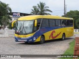 Coletivo Transportes 116 na cidade de Palmares, Pernambuco, Brasil, por Lenilson da Silva Pessoa. ID da foto: :id.