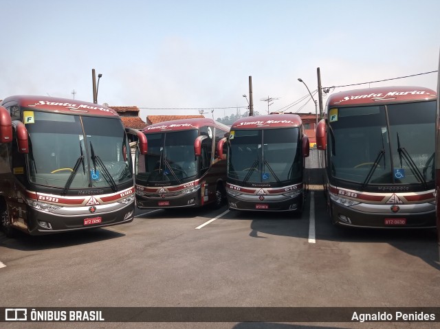Santa Maria Fretamento e Turismo > Transportes Santa Maria(SP) 610 na cidade de São Bernardo do Campo, São Paulo, Brasil, por Agnaldo Penides. Número da foto: #8283096.