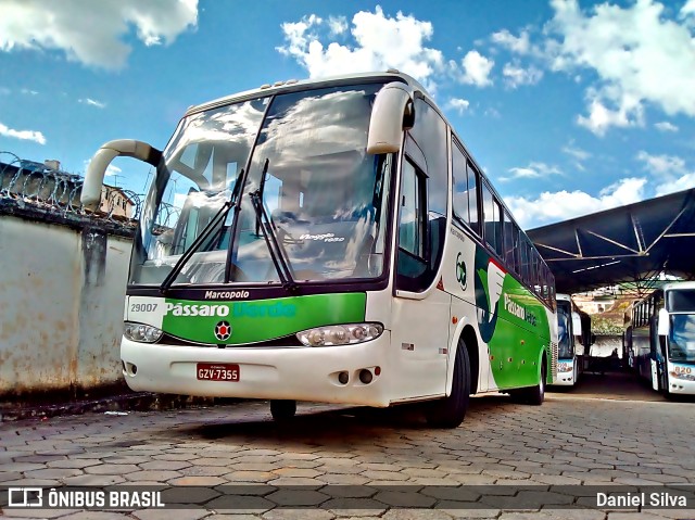 Pássaro Verde 29007 na cidade de Raul Soares, Minas Gerais, Brasil, por Daniel Silva. Número da foto: #8282581.