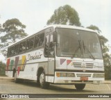 Domínio Transportadora Turística 785 na cidade de São Paulo, São Paulo, Brasil, por Adalberto Mattera. ID da foto: :id.