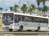 Empresa Aroeiras 300.828 na cidade de São Luís, Maranhão, Brasil, por Erlison Nascimento. Número da foto: #:id.