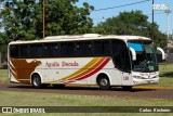 Águila Dorada 110 na cidade de Posadas, Capital, Misiones, Argentina, por Carlos Kircheim. Número da foto: #8281570.