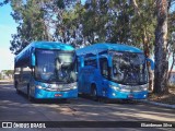 Auto Viação Progresso 6065 na cidade de Natal, Rio Grande do Norte, Brasil, por Elianderson Silva. Número da foto: #8285759.