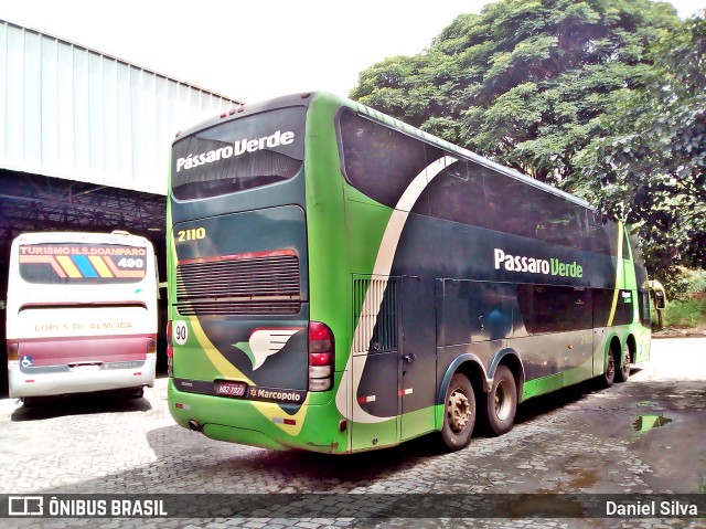 Pássaro Verde 2110 na cidade de Ponte Nova, Minas Gerais, Brasil, por Daniel Silva. ID da foto: 8285976.