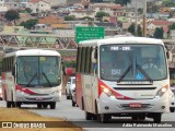 Rouxinol 1635 na cidade de Belo Horizonte, Minas Gerais, Brasil, por Adão Raimundo Marcelino. Número da foto: #8288482.