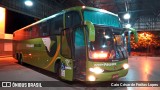 Pássaro Verde 27004 na cidade de Ponte Nova, Minas Gerais, Brasil, por Caio César de Freitas Lopes. Número da foto: #:id.