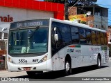 SJT - São Judas Tadeu 583 na cidade de Jaboatão dos Guararapes, Pernambuco, Brasil, por André Luiz Araujo Silva. Número da foto: #:id.