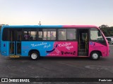 Turin Transportes 400 na cidade de Ouro Branco, Minas Gerais, Brasil, por Paulo Luiz. Número da foto: #8293766.
