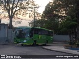 Pássaro Verde 20180 na cidade de Belo Horizonte, Minas Gerais, Brasil, por Tarcisio Rodrigues da Silva. ID da foto: :id.