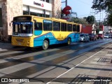 Lince 97 na cidade de San Lorenzo, Central, Paraguai, por Raul Fontan Douglas. Número da foto: #:id.