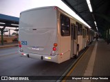 Viação Tindiquera 253 na cidade de Araucária, Paraná, Brasil, por Mayron Cesar  Colaço Teixeira. Número da foto: #8300640.