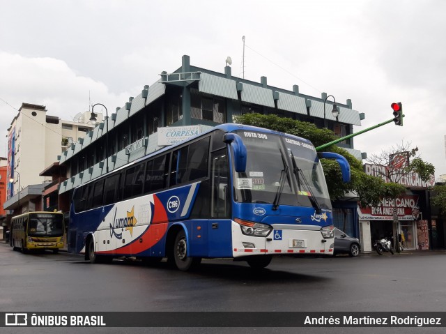 Lumaca C-196 na cidade de Catedral, San José, San José, Costa Rica, por Andrés Martínez Rodríguez. Número da foto: #8305826.