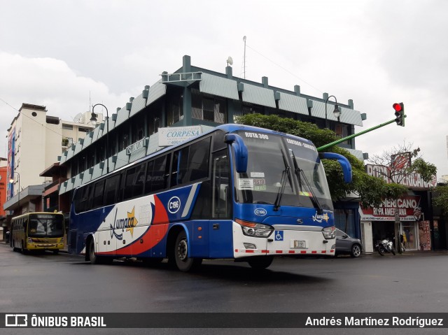 Lumaca C-196 na cidade de Catedral, San José, San José, Costa Rica, por Andrés Martínez Rodríguez. ID da foto: 8305826.