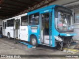 Metropolitana Transportes e Serviços 11091 na cidade de Vila Velha, Espírito Santo, Brasil, por Danilo Moraes. Número da foto: #8323912.