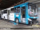 Metropolitana Transportes e Serviços 11091 na cidade de Vila Velha, Espírito Santo, Brasil, por Danilo Moraes. ID da foto: :id.