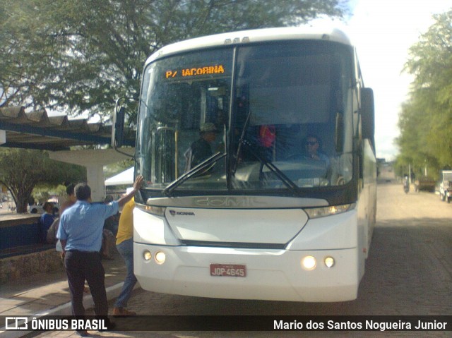 Falcão Real 6250 na cidade de Piritiba, Bahia, Brasil, por Mario dos Santos Nogueira Junior. ID da foto: 8247348.