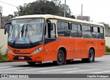 Auto Viação São José dos Pinhais 1004 na cidade de São José dos Pinhais, Paraná, Brasil, por Hipólito Rodrigues. Número da foto: #:id.