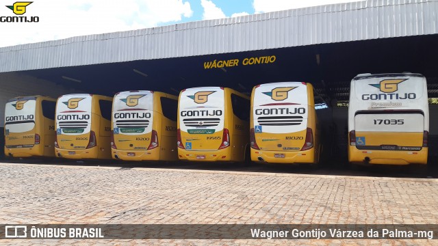Empresa Gontijo de Transportes 17035 na cidade de Uberlândia, Minas Gerais, Brasil, por Wagner Gontijo Várzea da Palma-mg. Número da foto: #8250313.