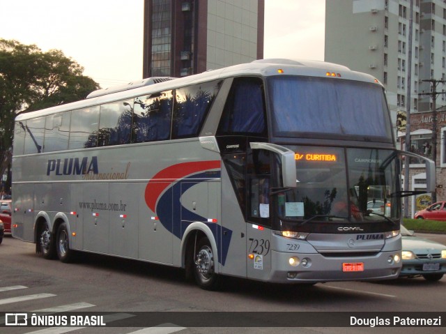 Pluma Conforto e Turismo 7239 na cidade de Curitiba, Paraná, Brasil, por Douglas Paternezi. Número da foto: #8253187.