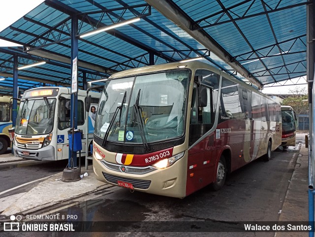 Transportes Única Petrópolis RJ 163.003 na cidade de Duque de Caxias, Rio de Janeiro, Brasil, por Walace dos Santos. Número da foto: #8255493.