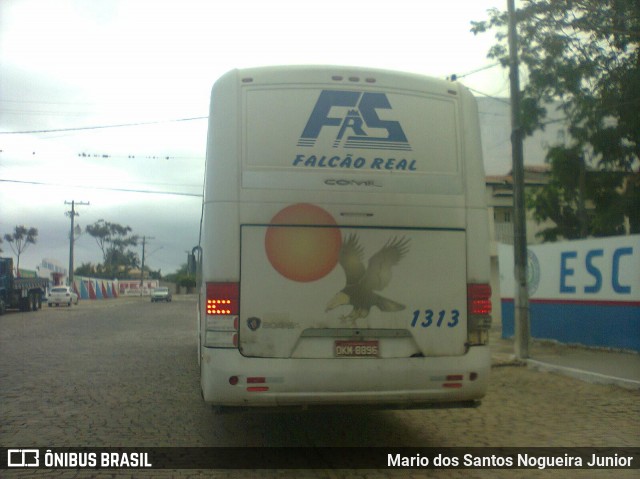 Falcão Real 1313 na cidade de Piritiba, Bahia, Brasil, por Mario dos Santos Nogueira Junior. ID da foto: 8256087.