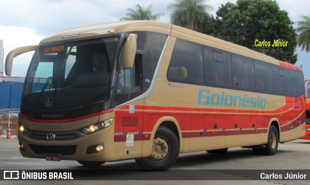 Auto Viação Goianésia 175003-4 na cidade de Goiânia, Goiás, Brasil, por Carlos Júnior. Número da foto: #8263901.