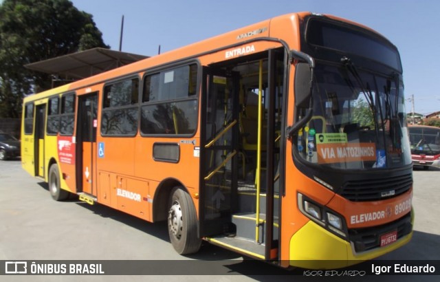 Empresa Alcino G. Cotta 89029 na cidade de Capim Branco, Minas Gerais, Brasil, por Igor Eduardo. Número da foto: #8264438.