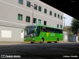 Pássaro Verde 29013 na cidade de Ponte Nova, Minas Gerais, Brasil, por Adriano  Almeida. Número da foto: #8331792.