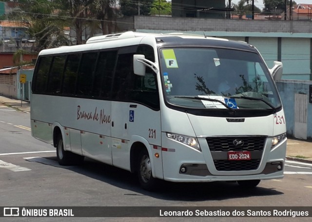 Branca de Neve Turismo 231 na cidade de Campinas, São Paulo, Brasil, por Leonardo Sebastiao dos Santos Rodrigues. Número da foto: #8357264.