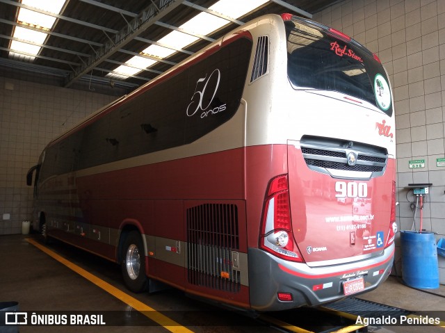 Santa Maria Fretamento e Turismo > Transportes Santa Maria(SP) 900 na cidade de São Bernardo do Campo, São Paulo, Brasil, por Agnaldo Penides. Número da foto: #8361516.