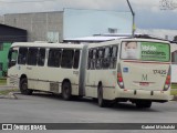 Expresso Azul 17425 na cidade de Pinhais, Paraná, Brasil, por Gabriel Michalski. Número da foto: #8363265.