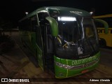 Pássaro Verde 15129 na cidade de João Monlevade, Minas Gerais, Brasil, por Adriano  Almeida. Número da foto: #8364257.