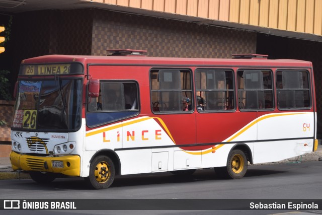 Lince 64 na cidade de Asunción, Paraguai, por Sebastian Espinola. ID da foto: 8370918.