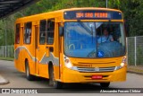 Transportes Coletivos Nossa Senhora da Piedade 441 na cidade de Campo Largo, Paraná, Brasil, por Alessandro Fracaro Chibior. Número da foto: #:id.