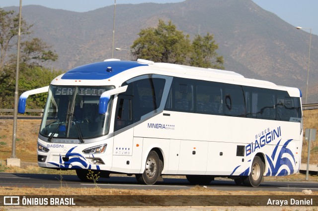 Buses Biaggini  na cidade de La Calera, Quillota, Valparaíso, Chile, por Araya Daniel . Número da foto: #8375043.