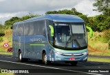 Viação Garcia 8275 na cidade de Cambira, Paraná, Brasil, por Pedroka Ternoski. Número da foto: #8372878.