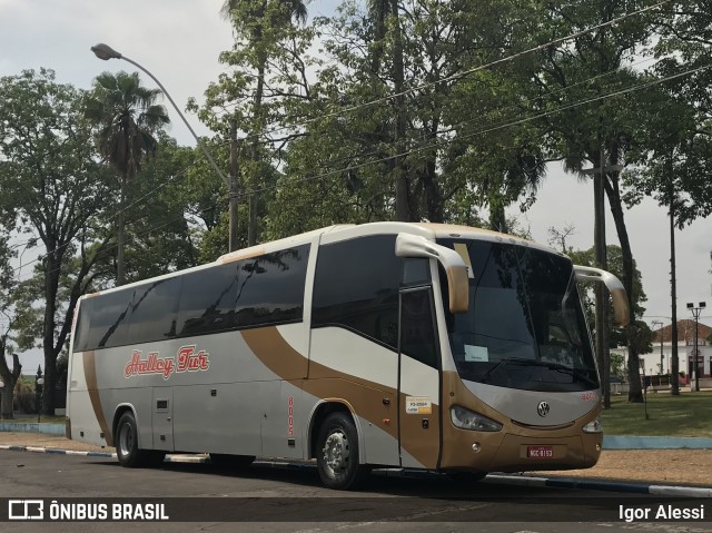 Halley Transportes e Turismo 8153 na cidade de Dourado, São Paulo, Brasil, por Igor Alessi. Número da foto: #8376391.