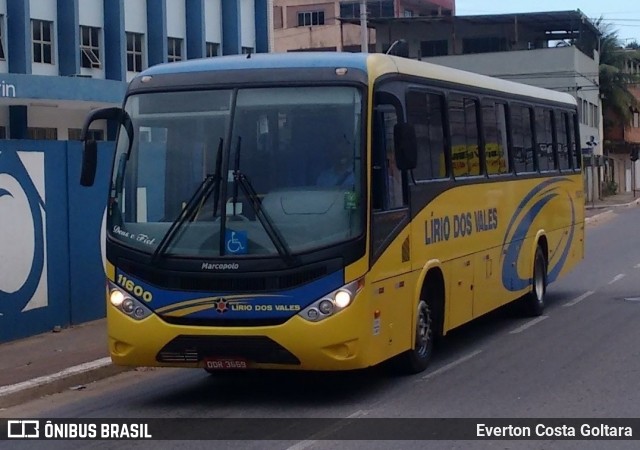 Viação Lírio dos Vales 11600 na cidade de Cariacica, Espírito Santo, Brasil, por Everton Costa Goltara. Número da foto: #8376475.