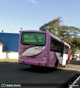 Rápido Sumaré 32306 na cidade de Nova Odessa, São Paulo, Brasil, por Fred Sposito. Número da foto: #:id.