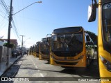 Transporte Tropical 4388 na cidade de Aracaju, Sergipe, Brasil, por Rafael Rodrigues Forencio. Número da foto: #:id.