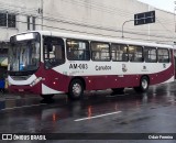 Transportes São Luiz AM-003 na cidade de Belém, Pará, Brasil, por Odair Ferreira . Número da foto: #:id.