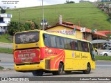 Betel Brasileiro 51467 na cidade de João Monlevade, Minas Gerais, Brasil, por Antonio Carlos Fernandes. Número da foto: #:id.