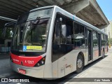 Himalaia Transportes > Ambiental Transportes Urbanos 4 1397 na cidade de São Paulo, São Paulo, Brasil, por Caio  Takeda. Número da foto: #8394212.